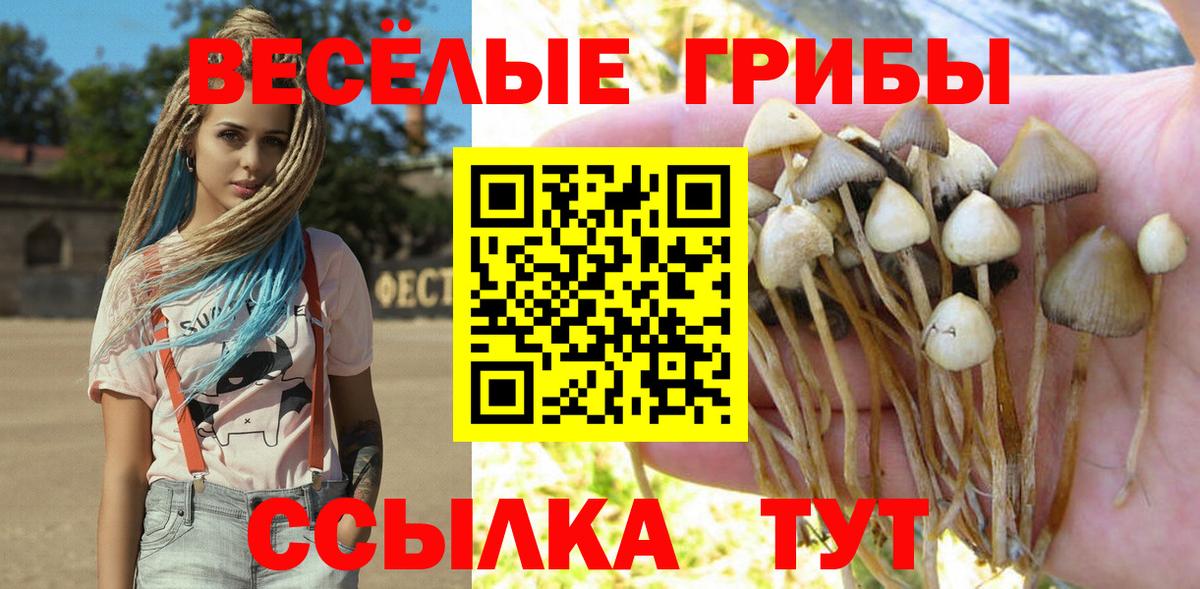 цены наркотик  Псилоцибиновые грибы MAGIC MUSHROOMS  Вход с VPN  Георгиевск 